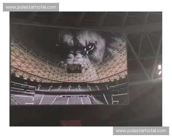 直播：国安队力争胜利 激战激情四溢 球迷热情高涨 共襄盛举